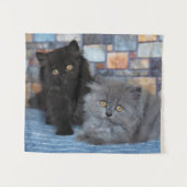 Kutest Baby Animals | Perzische Kittens in Blanket Wandkleed (Voorkant (horizontaal))