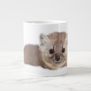 Kutest Baby Animals   Pine Marten Extra Grote Beker