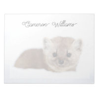 Kutest Baby Animals | Pine Marten