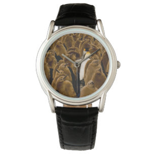 Kutest Baby Animals Pinguïn onder jongeren Horloge