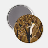 Kutest Baby Animals | Pinguïn onder jongeren Magneet (Voorkant / Achterkant)