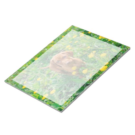 Kutest Baby Animals | Pointer Puppy Notitieblok (Schuin)