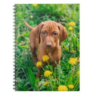 Kutest Baby Animals Pointer Puppy Notitieboek