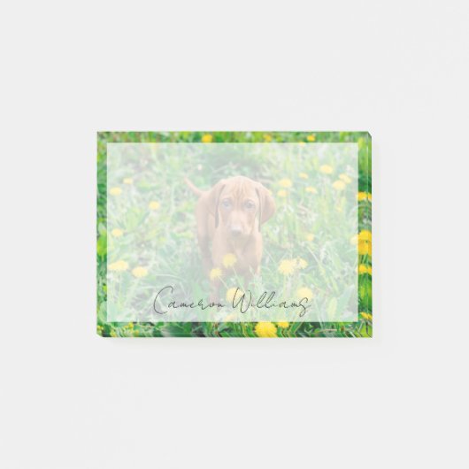 Kutest Baby Animals | Pointer Puppy Post-it® Notes (Voorkant)