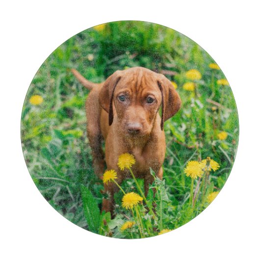 Kutest Baby Animals | Pointer Puppy Snijplank (Voorkant)