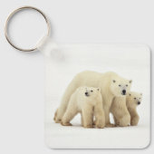 Kutest Baby Animals | Polaire Beer Sleutelhanger (Voorkant)