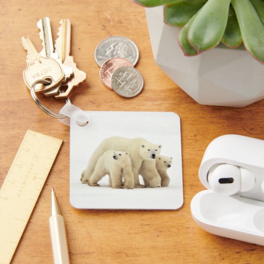 Kutest Baby Animals | Polaire Beer Sleutelhanger (Bureau)