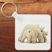 Kutest Baby Animals | Polaire Beer Sleutelhanger (Voorkant)