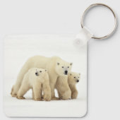Kutest Baby Animals | Polaire Beer Sleutelhanger (Achterkant)