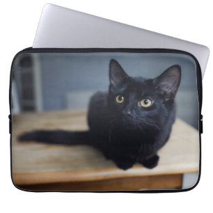 Kutest Baby Animals Portret van een zwarte kat Laptop Sleeve