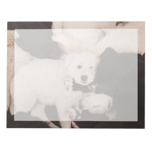 Kutest Baby Animals   PUPPIES Notitieblok