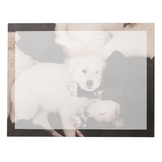 Kutest Baby Animals | PUPPIES Notitieblok (Voorkant)