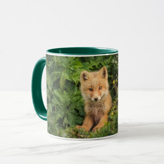 Kutest Baby Animals | Red Fox in Umnak Alaska Mok (Voorkant links)