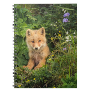 Kutest Baby Animals Red Fox in Umnak Alaska Notitieboek