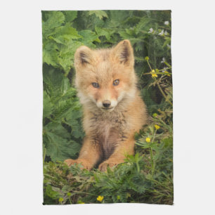 Kutest Baby Animals Red Fox in Umnak Alaska Theedoek