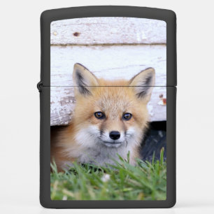 Kutest Baby Animals Red Fox Kit Peking