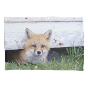 Kutest Baby Animals Red Fox Kit Peking Kussensloop