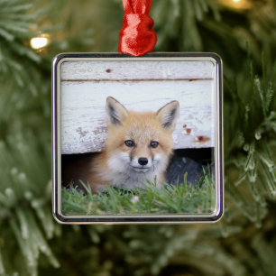 Kutest Baby Animals   Red Fox Kit Peking Metalen Ornament