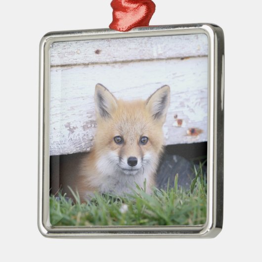 Kutest Baby Animals | Red Fox Kit Peking Metalen Ornament (Links)