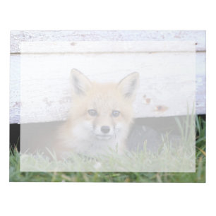 Kutest Baby Animals Red Fox Kit Peking Notitieblok