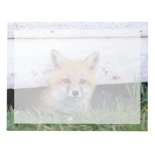 Kutest Baby Animals | Red Fox Kit Peking Notitieblok (Voorkant)
