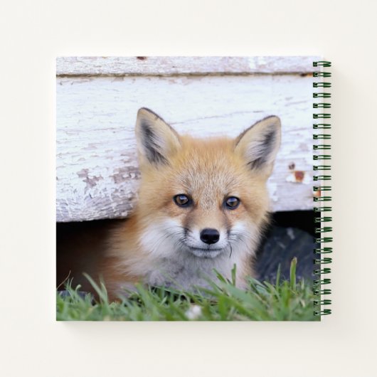 Kutest Baby Animals | Red Fox Kit Peking Notitieboek (Achterkant)
