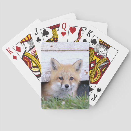 Kutest Baby Animals | Red Fox Kit Peking Pokerkaarten (Achterkant)