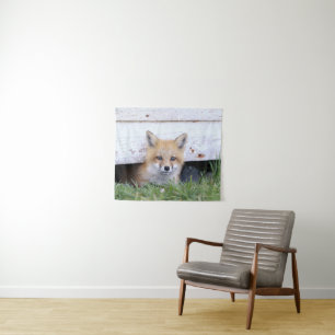 Kutest Baby Animals   Red Fox Kit Peking Wandkleed