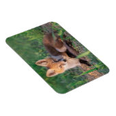 Kutest Baby Animals | Red Fox Kit Relaxing Magneet (Rechterzijde)