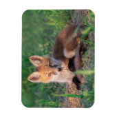Kutest Baby Animals | Red Fox Kit Relaxing Magneet (Verticaal)