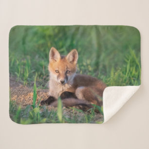 Kutest Baby Animals   Red Fox Kit Relaxing Sherpa Deken
