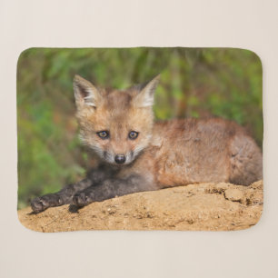 Kutest Baby Animals Red Fox Pup Sherpa Deken