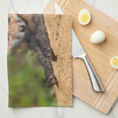 Kutest Baby Animals | Red Fox Pup Theedoek (Quarter Fold)