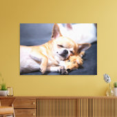 Kutest Baby Animals | Red-haring Chihuahua Dog Canvas Afdruk (Insitu (Woonkamer))