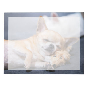 Kutest Baby Animals Red-haring Chihuahua Dog Notitieblok