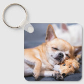 Kutest Baby Animals | Red-haring Chihuahua Dog Sleutelhanger (Voorkant)