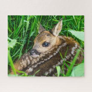 Kutest Baby Animals   Roe Deer Baby Legpuzzel