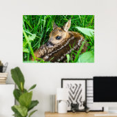 Kutest Baby Animals | Roe Deer Baby Poster (Thuiskantoor)