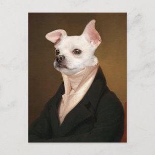 Kutest Baby Animals Royal Chihuahua Portrait Briefkaart