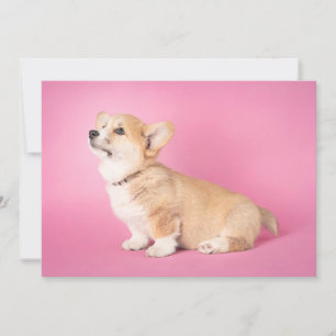 Kutest Baby Animals Roze Corgi Puppy Bedankkaart
