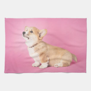 Kutest Baby Animals   Roze Corgi Puppy Theedoek