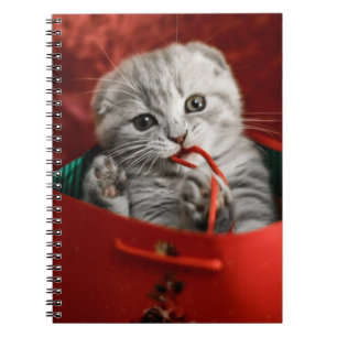 Kutest Baby Animals Scottish Fold Kitten Notitieboek