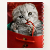 Kutest Baby Animals | Scottish Fold Kitten Notitieboek (Achterkant)