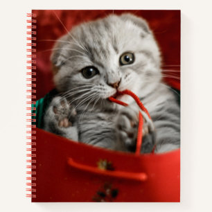 Kutest Baby Animals   Scottish Fold Kitten Notitieboek