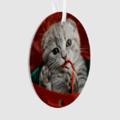 Kutest Baby Animals | Scottish Fold Kitten Ornament (voorkant)