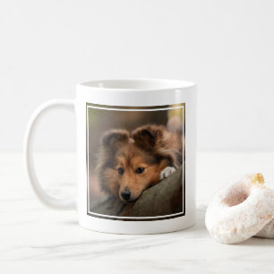Kutest Baby Animals   Shetland Sheepdog Puppy Koffiemok