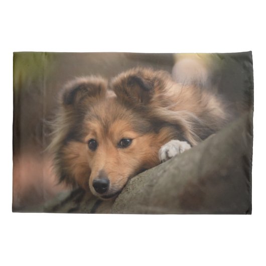 Kutest Baby Animals | Shetland Sheepdog Puppy Kussensloop (Achterkant)
