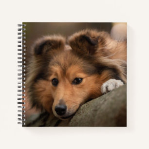 Kutest Baby Animals   Shetland Sheepdog Puppy Notitieboek