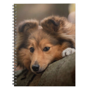 Kutest Baby Animals   Shetland Sheepdog Puppy Notitieboek