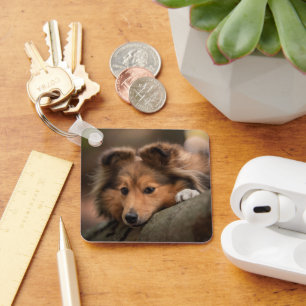 Kutest Baby Animals   Shetland Sheepdog Puppy Sleutelhanger
